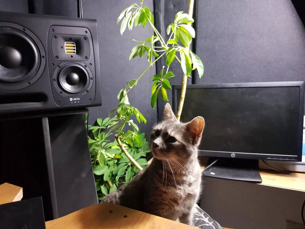 quantum samples drum and bass sample packs