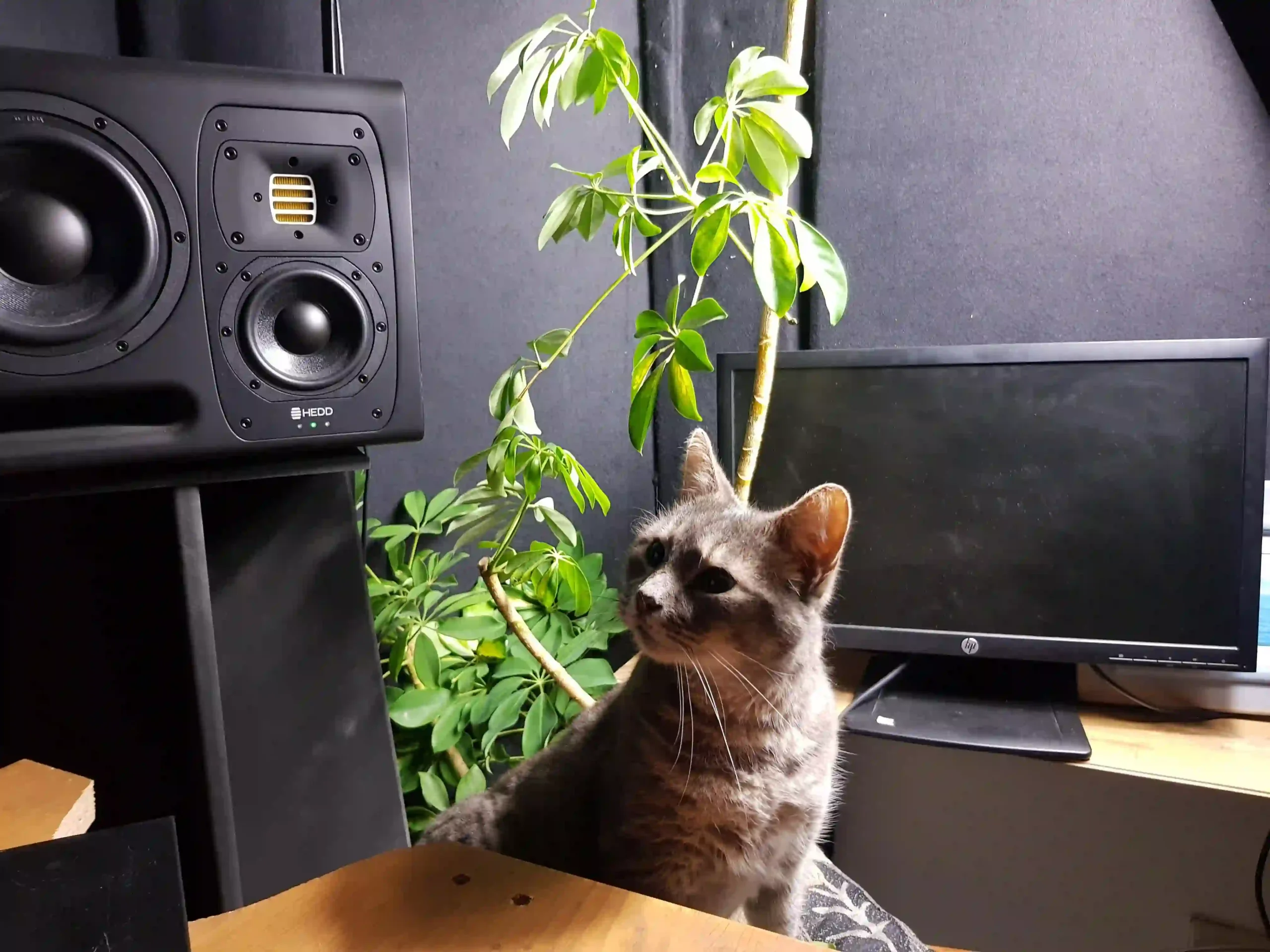 quantum samples drum and bass sample packs